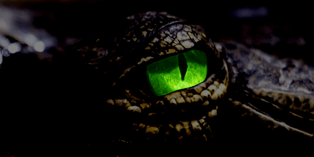 Jealousy – the Green-eyed Monster